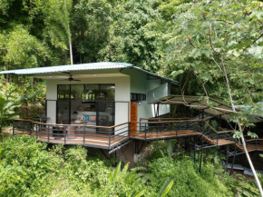 Casita Bambú Jungle Guesthouse